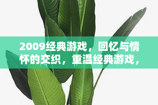 2009经典游戏,回忆与情怀的交织,重温经典游戏,唤醒你的童年记忆! 2009经典游戏,回忆与情怀的交织,重温经典游戏,唤醒你的童年记忆!