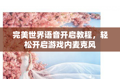 完美世界语音开启教程图片