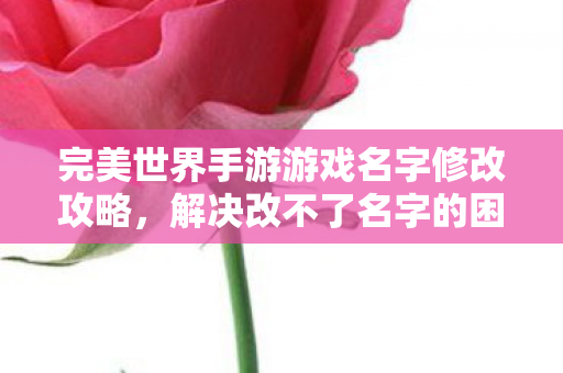 完美世界手游游戏名字修改攻略图片