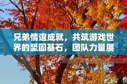 兄弟情谊成就,共筑游戏世界的坚固基石,团队力量展现 兄弟情谊成就,共筑游戏世界的坚固基石,团队力量展现