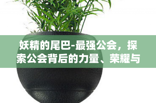 探索公会背后的力量图片