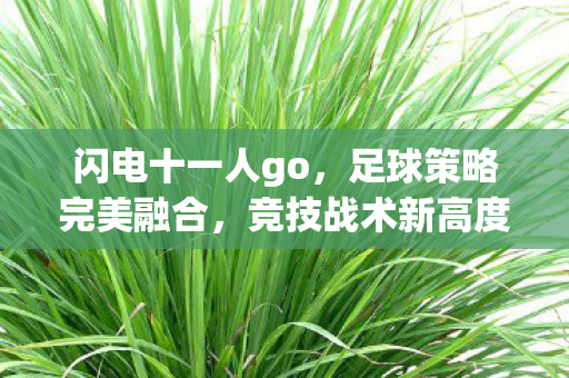 闪电十一人go,足球策略完美融合,竞技战术新高度! 闪电十一人go,足球策略完美融合,竞技战术新高度!