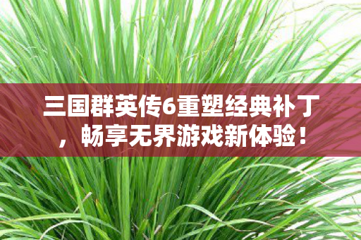 三国群英传6重塑经典补丁，畅享无界游戏新体验！