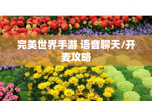 完美世界手游 语音聊天图片