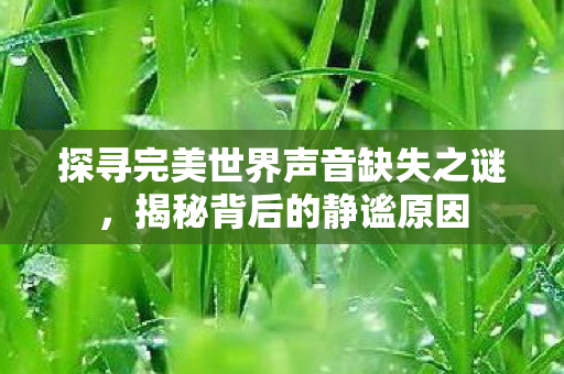 探寻完美世界声音缺失之谜图片