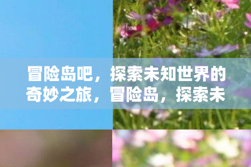 冒险岛吧，探索未知世界的奇妙之旅，冒险岛，探索未知世界的奇妙之旅