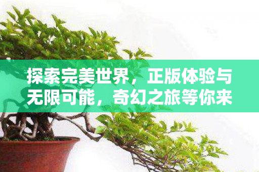 正版体验与无限可能图片