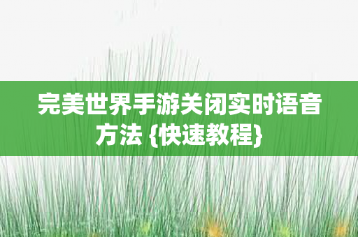 完美世界手游关闭实时语音方法图片