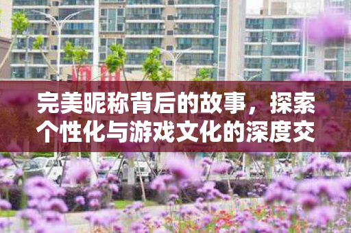 完美昵称背后的故事,探索个性化与游戏文化的深度交融及影响 完美昵称背后的故事,探索个性化与游戏文化的深度交融及影响