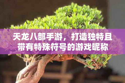 打造独特且带有特殊符号的游戏昵称图片