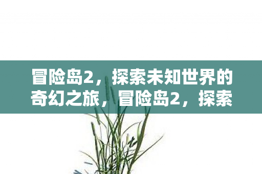 冒险岛2，探索未知世界的奇幻之旅，冒险岛2，探索未知世界的奇幻之旅