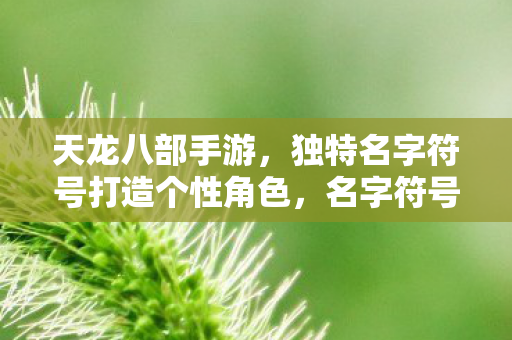 独特名字符号打造个性角色图片