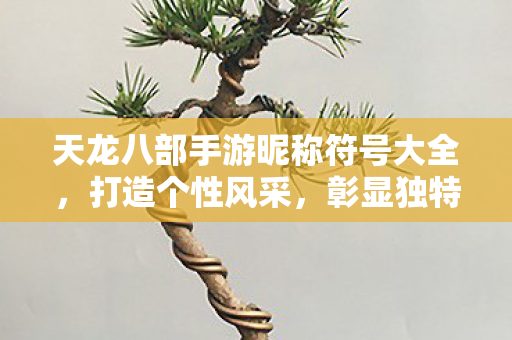 天龙八部手游昵称符号大全图片