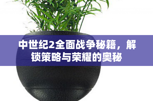 中世纪2全面战争秘籍图片