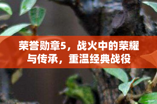 荣誉勋章5,战火中的荣耀与传承,重温经典战役 荣誉勋章5,战火中的荣耀与传承,重温经典战役