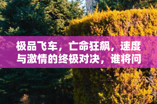 极品飞车，亡命狂飙，速度与激情的终极对决，谁将问鼎车王？