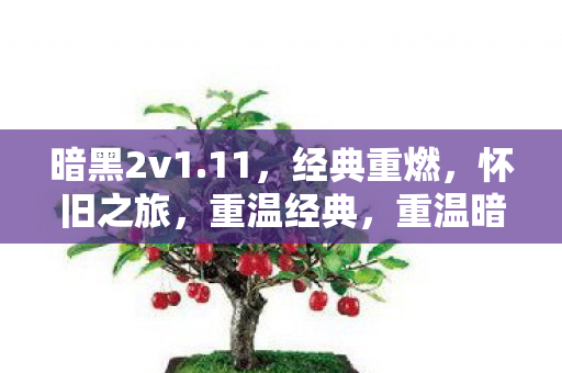 暗黑2v1.11，经典重燃，怀旧之旅，重温经典，重温暗黑破坏神2