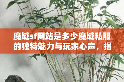 魔域sf网站是多少魔域私服的独特魅力与玩家心声，揭秘魔域私服网站，独特魅力与玩家心声