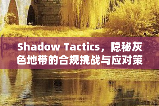 Shadow Tactics,隐秘灰色地带的合规挑战与应对策略 Shadow Tactics,隐秘灰色地带的合规挑战与应对策略