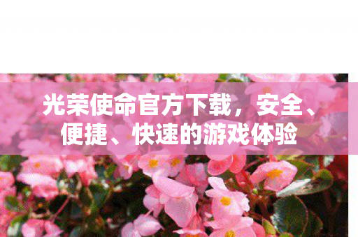 光荣使命官方下载图片