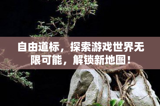 自由道标,探索游戏世界无限可能,解锁新地图! 自由道标,探索游戏世界无限可能,解锁新地图!
