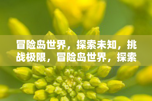 冒险岛世界，探索未知，挑战极限，冒险岛世界，探索未知，挑战极限