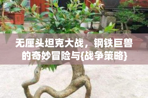 钢铁巨兽的奇妙冒险与图片