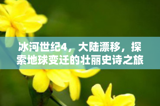 冰河世纪4,大陆漂移,探索地球变迁的壮丽史诗之旅 冰河世纪4,大陆漂移,探索地球变迁的壮丽史诗之旅