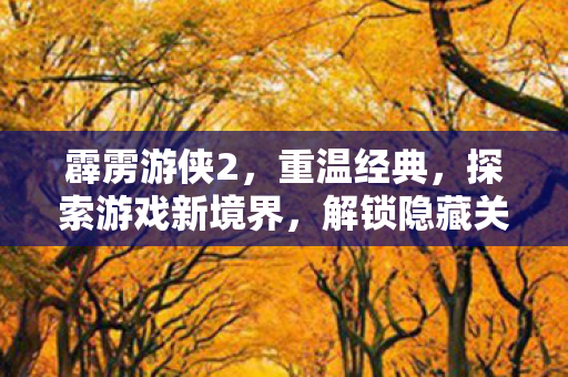 霹雳游侠2，重温经典，探索游戏新境界，解锁隐藏关卡！