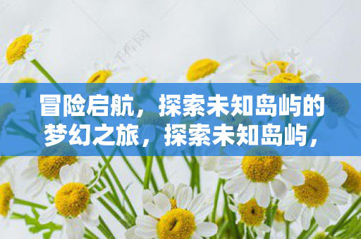 冒险启航，探索未知岛屿的梦幻之旅，探索未知岛屿，梦幻之旅启程