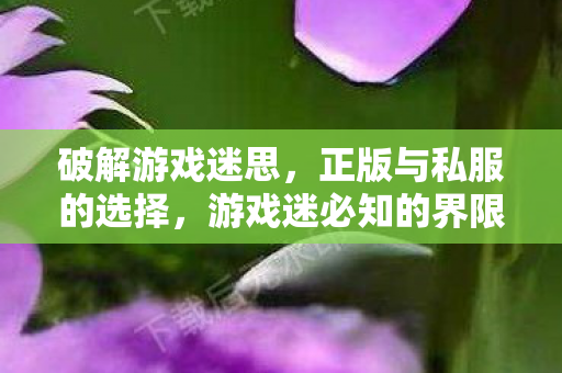 破解游戏迷思，正版与私服的选择，游戏迷必知的界限与选择