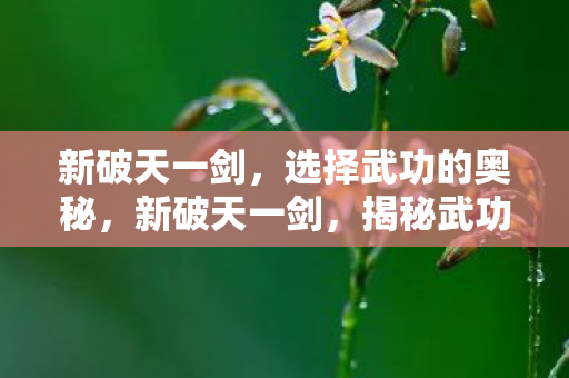 新破天一剑，选择武功的奥秘，新破天一剑，揭秘武功选择奥秘