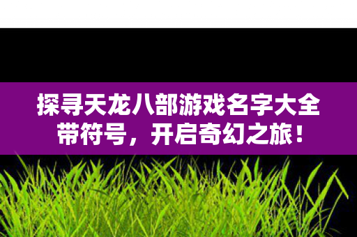 探寻天龙八部游戏名字大全带符号图片