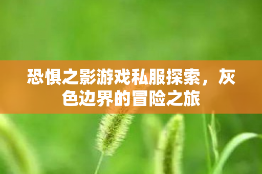 恐惧之影游戏私服探索，灰色边界的冒险之旅