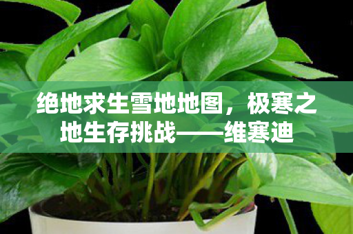 绝地求生雪地地图，极寒之地生存挑战——维寒迪