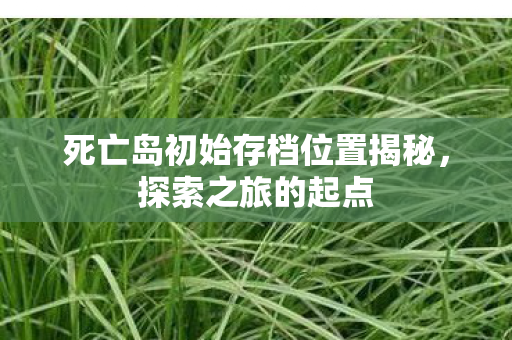死亡岛初始存档位置揭秘，探索之旅的起点