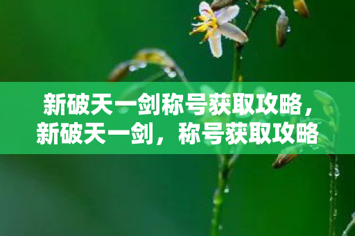新破天一剑称号获取攻略,新破天一剑,称号获取攻略 新破天一剑称号获取攻略,新破天一剑,称号获取攻略