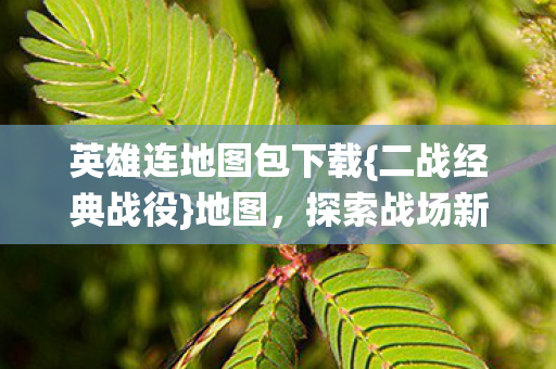 英雄连地图包下载{二战经典战役}地图，探索战场新维度