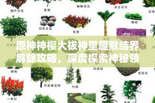 原神神樱大祓神里屋敷结界解除攻略,深度探索神秘领域 原神神樱大祓神里屋敷结界解除攻略,深度探索神秘领域