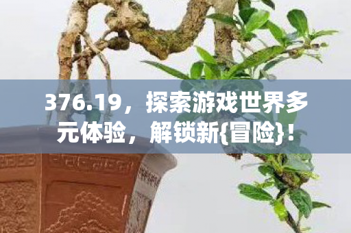 376.19,探索游戏世界多元体验,解锁新{冒险}! 376.19,探索游戏世界多元体验,解锁新{冒险}!