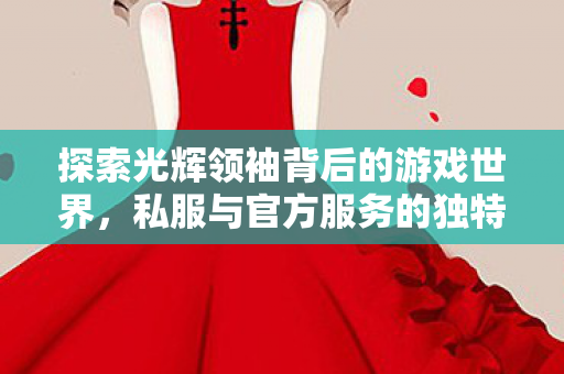 探索光辉领袖背后的游戏世界，私服与官方服务的独特魅力，游戏文化深度剖析