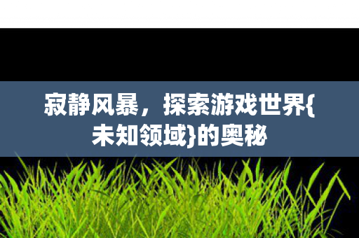 寂静风暴，探索游戏世界{未知领域}的奥秘