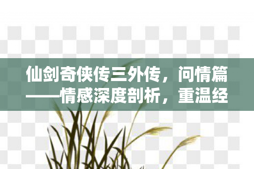 仙剑奇侠传三外传图片