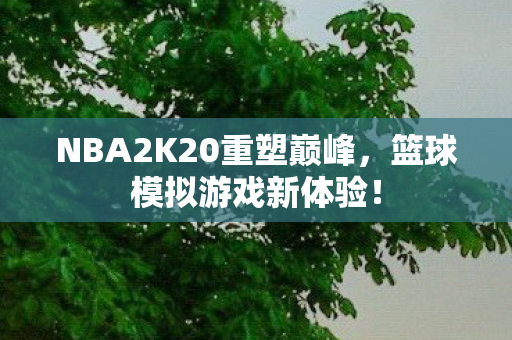 NBA2K20重塑巅峰,篮球模拟游戏新体验! NBA2K20重塑巅峰,篮球模拟游戏新体验!