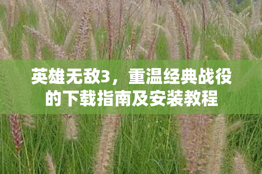 英雄无敌3,重温经典战役的下载指南及安装教程 英雄无敌3,重温经典战役的下载指南及安装教程
