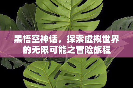 探索虚拟世界的无限可能之冒险旅程图片