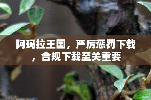 合规下载至关重要图片