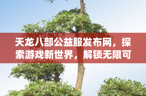 天龙八部公益服发布网图片