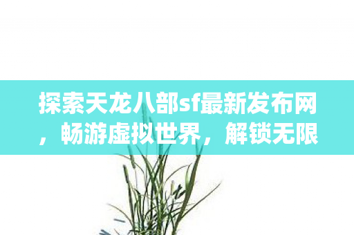 探索天龙八部sf最新发布网图片