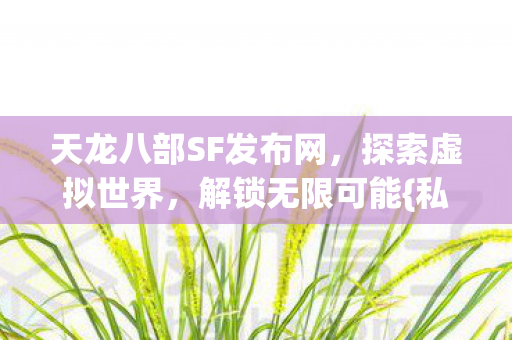 天龙八部SF发布网图片